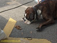 radmarathon 2007 284